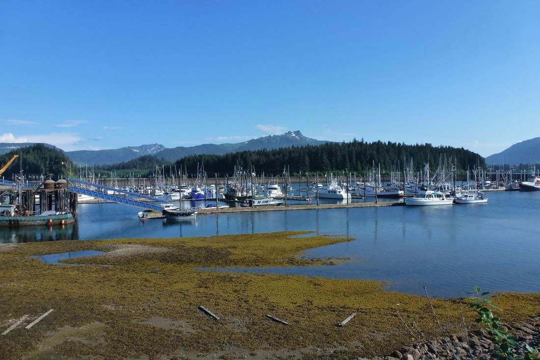 Boats moored in the small boat harbor at Hoonah, Alaska, with spruce-covered hills and a snow-dusted peak behind