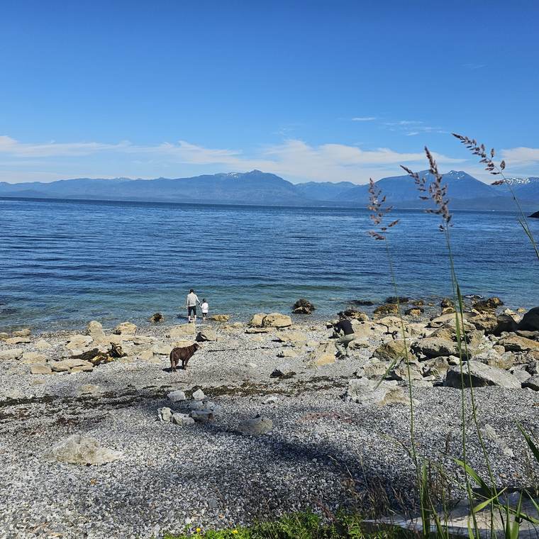 A man and child wade at the water's edge on a pebble beach in Hoonah, with a brown dog and a photographer on the rocks and mountains across the water