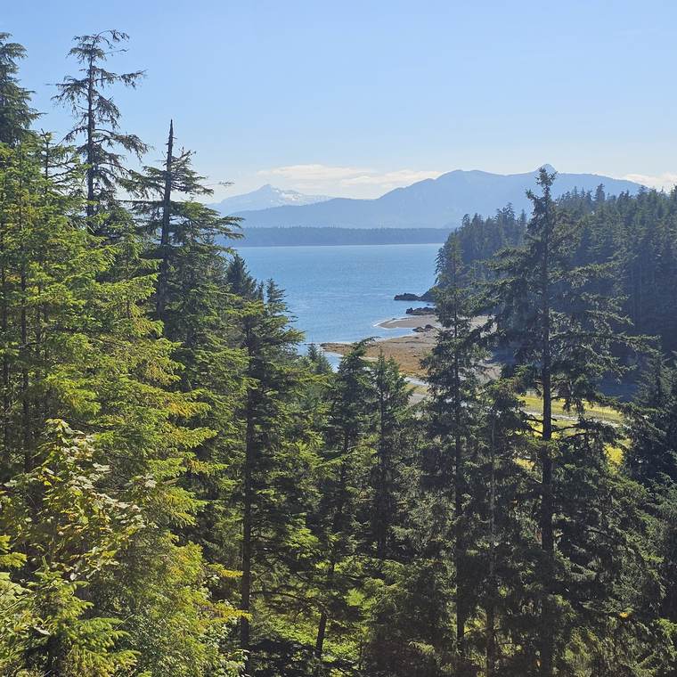 View through spruce trees to a quiet bay, a tidal beach and mountains near Hoonah, Alaska